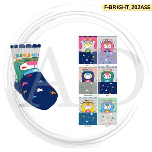 ASSORTIMENTO 202
